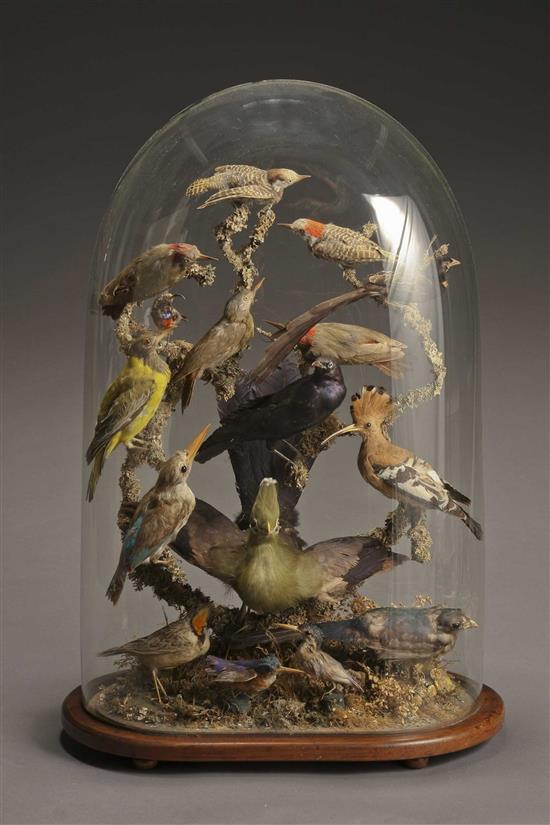 Appraisal: Lot Property of Various Owners Victorian Taxidermy Bird Diorama Last