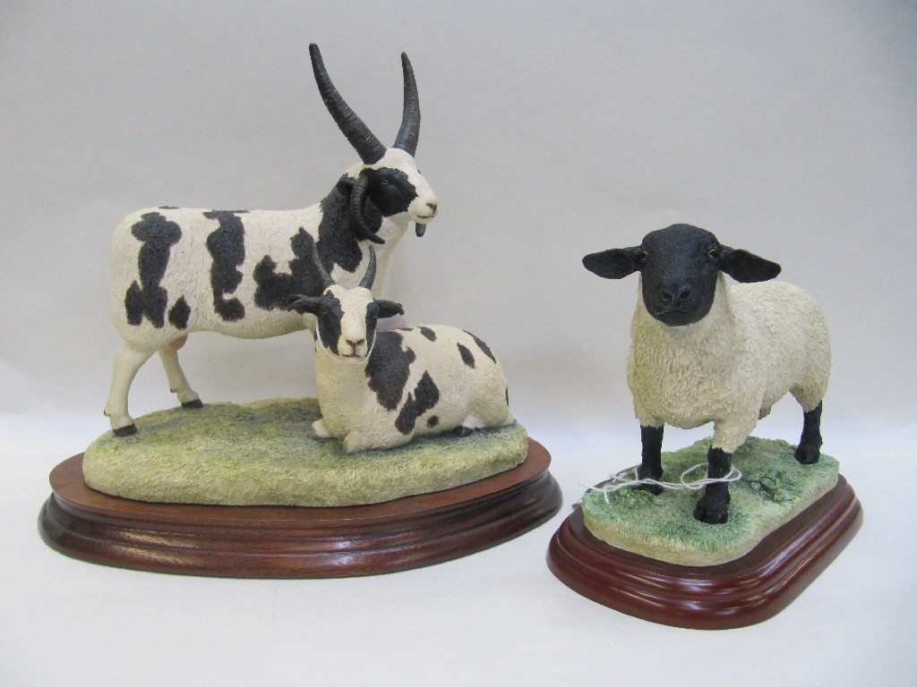 Appraisal: Border Fine Arts group Pair of Jacobs sheep four horned