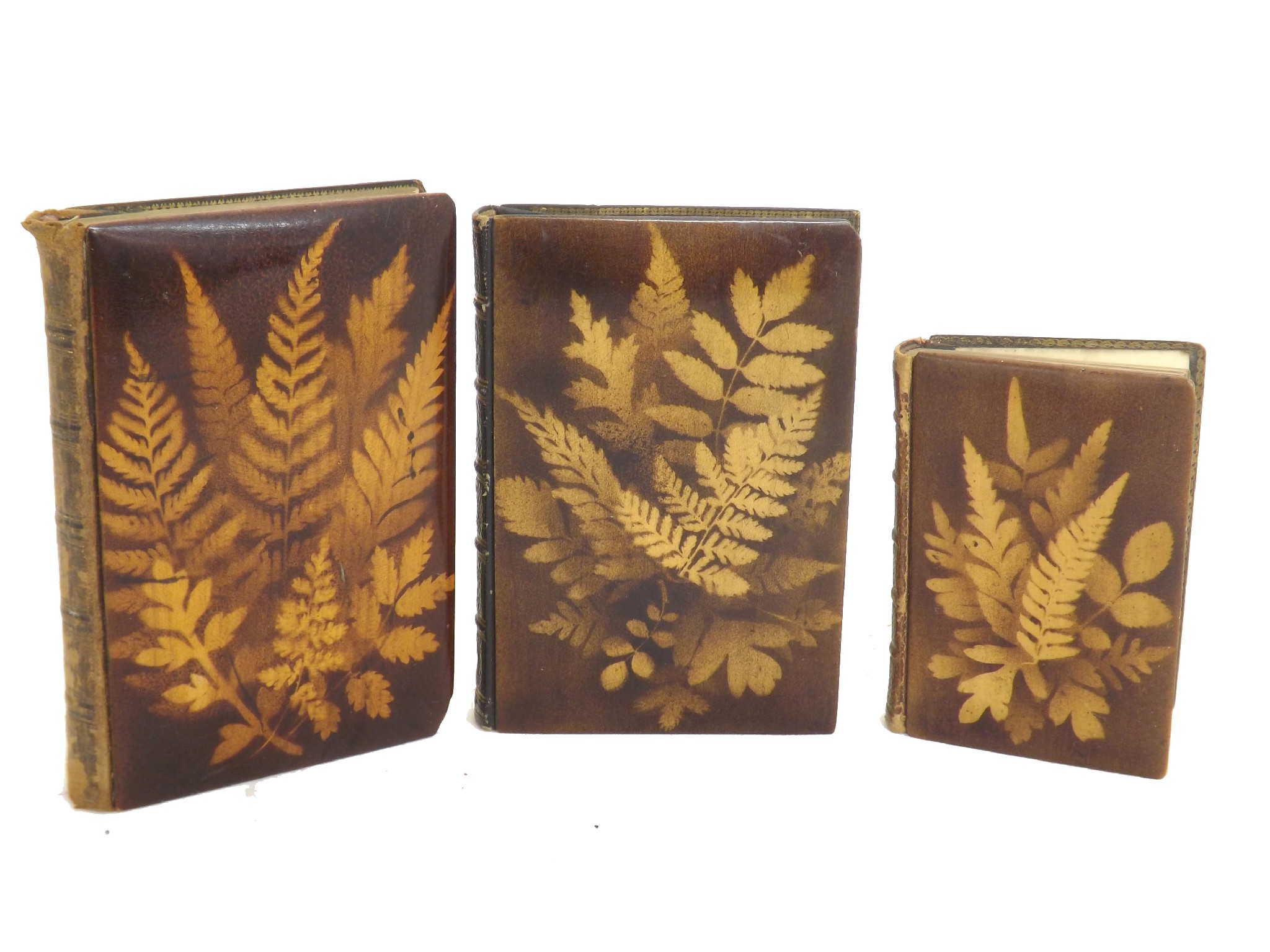 Appraisal: Fern ware small sized books - The Language of Flowers