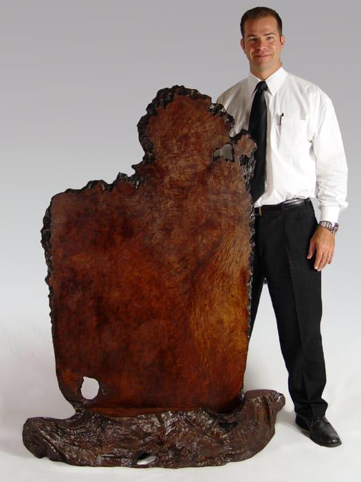 Appraisal: LARGE SPECIMEN OF BURL WALNUT ON STAND Exceptional example of