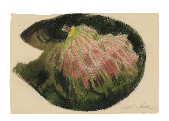 Appraisal: JOSEPH STELLA Study of Tropical Foliage Color crayons on paper