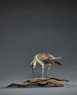 Appraisal: Rare Feeding Curlew Lemuel T Ward Rare Feeding CurlewLemuel T