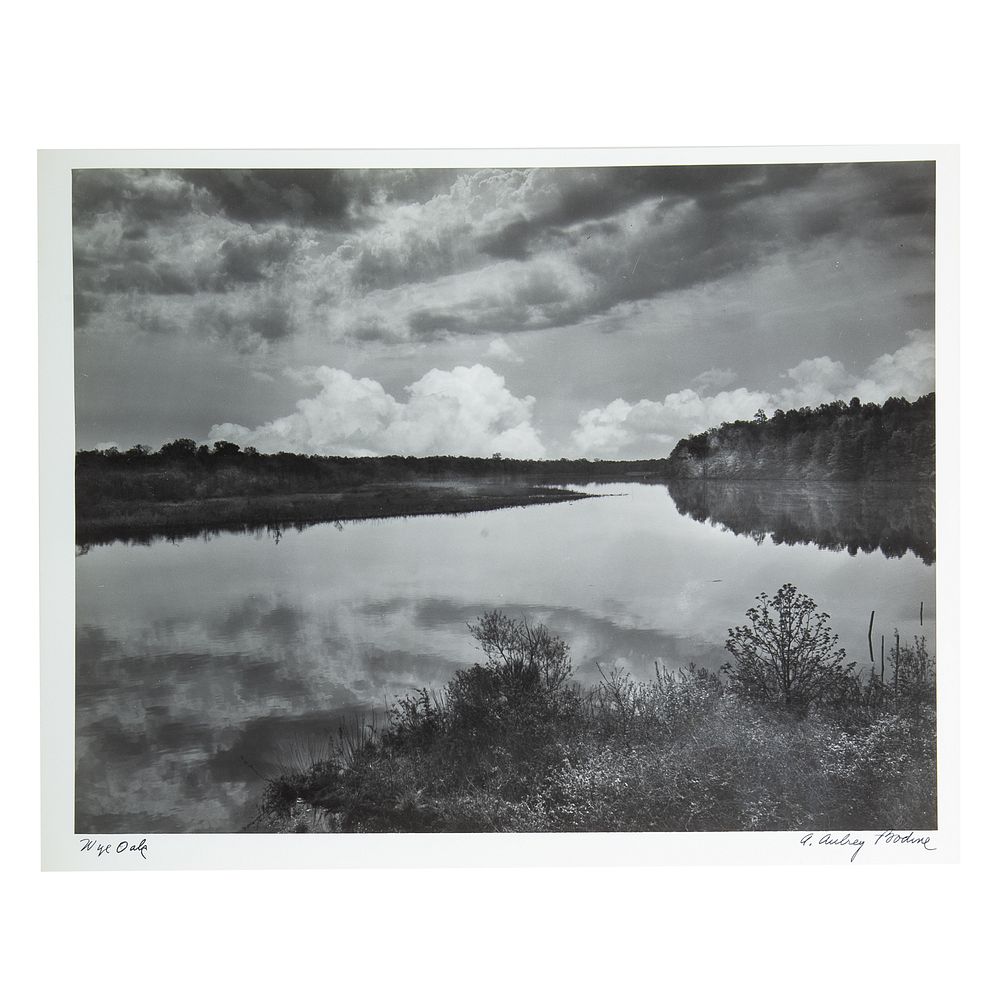 Appraisal: A Aubrey Bodine Wye Oak photograph American - Gelatin silver