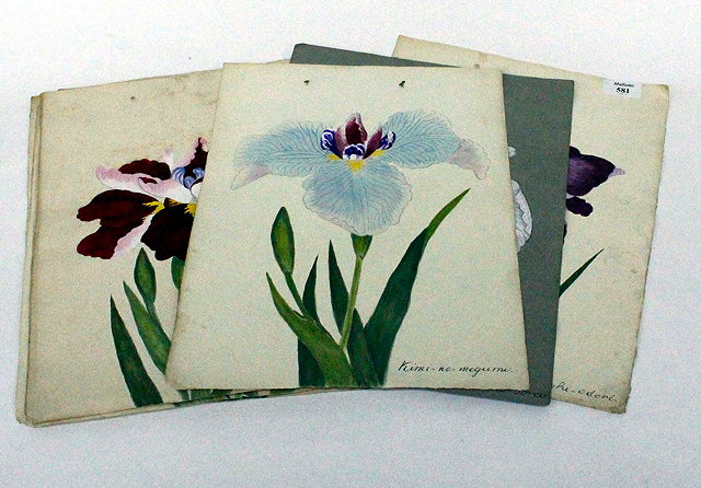 Appraisal: A GROUP OF DECORATIVE WATERCOLOUR AND GOUACHE STUDIES OF IRIS