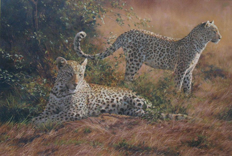 Appraisal: DINO PARAVANO Siblings - Londolozi two leopards in a landscape