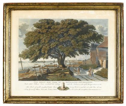 Appraisal: George Lehman Artist and Engraver William Smith Publisherthe great elm