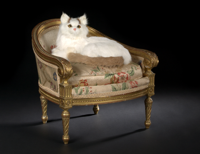 Appraisal: Unusual French Carved Giltwood Lit du Chat first quarter th