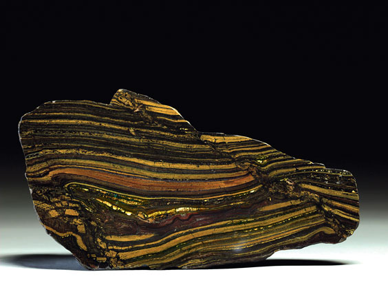 Appraisal: TIGER IRON SECTION Paleoproterozoic Ord Ranges Port Hedland Western Australia