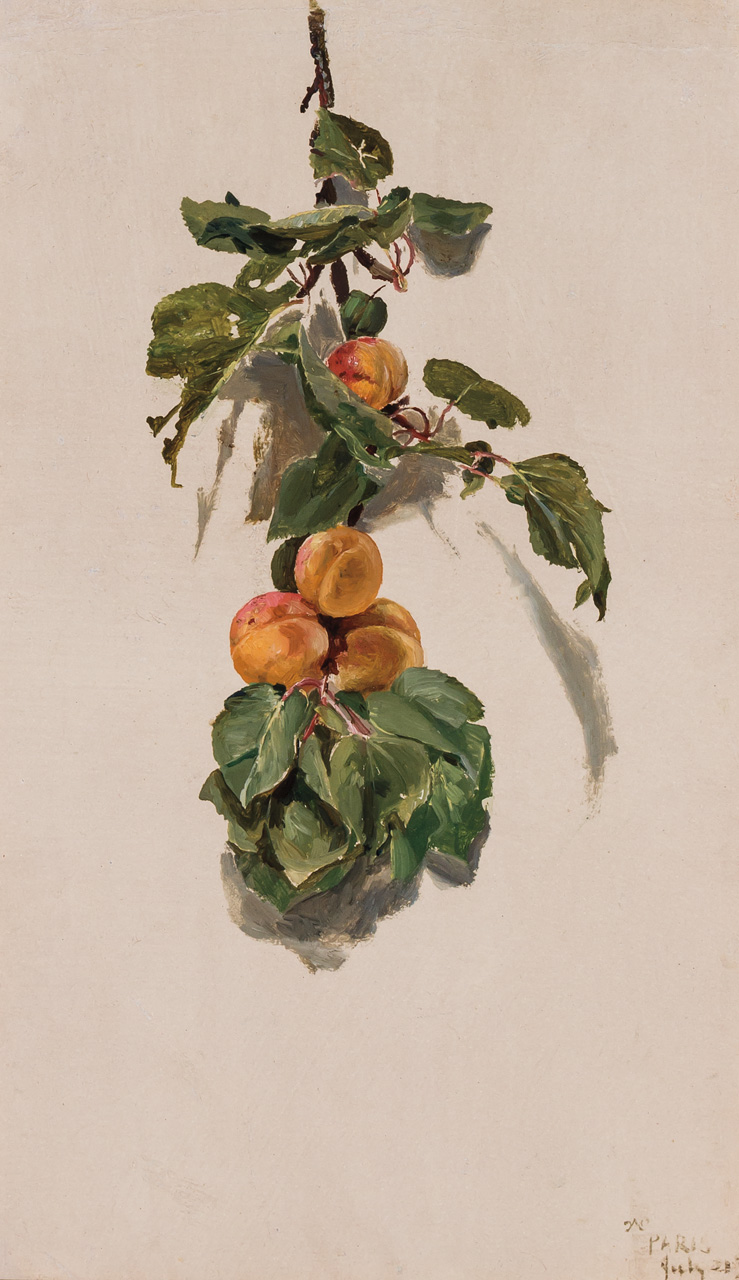 Appraisal: CONRAD WISE CHAPMAN American - Peaches on a Branch oil