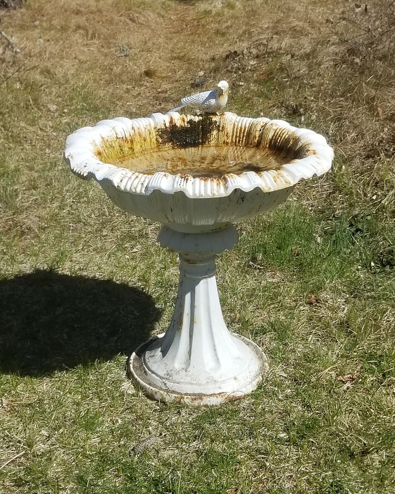 Appraisal: White Painted Cast Iron Bird Bath with Perched Bird at