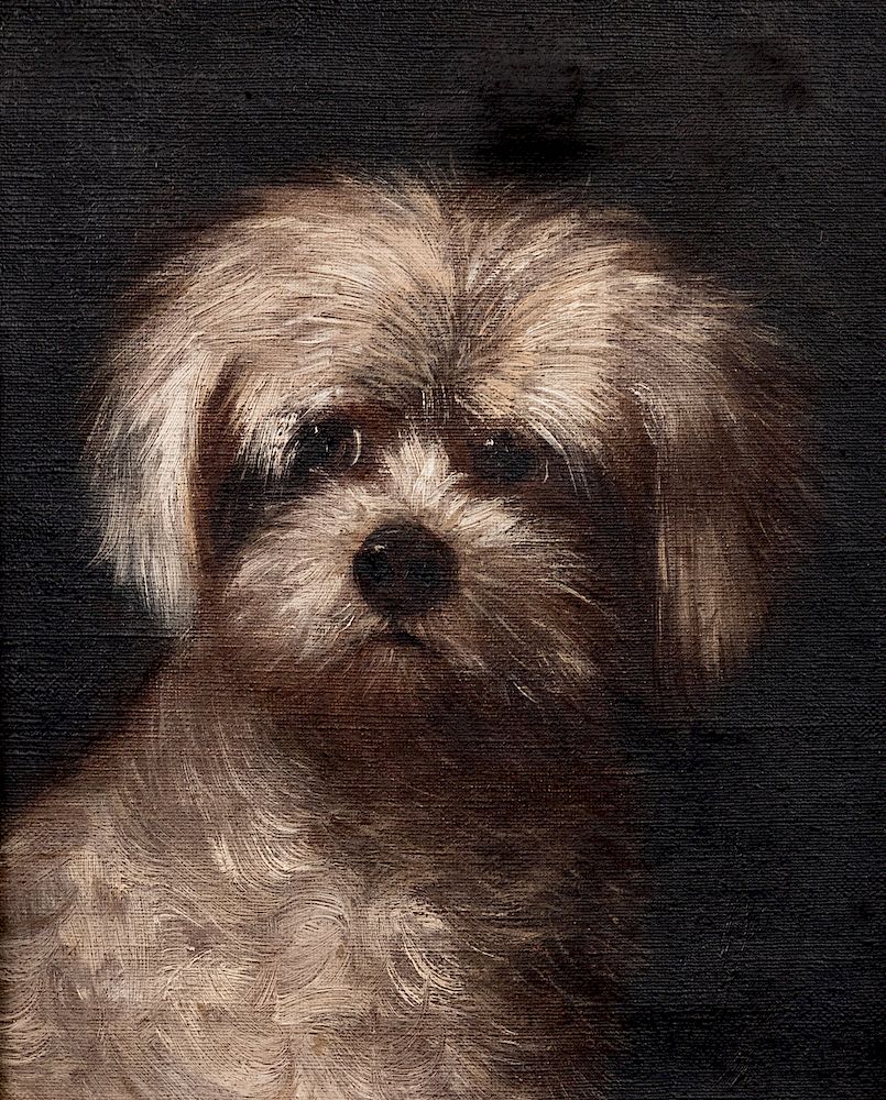 Appraisal: Artist Unknown French th Century Portrait of a White Terrier