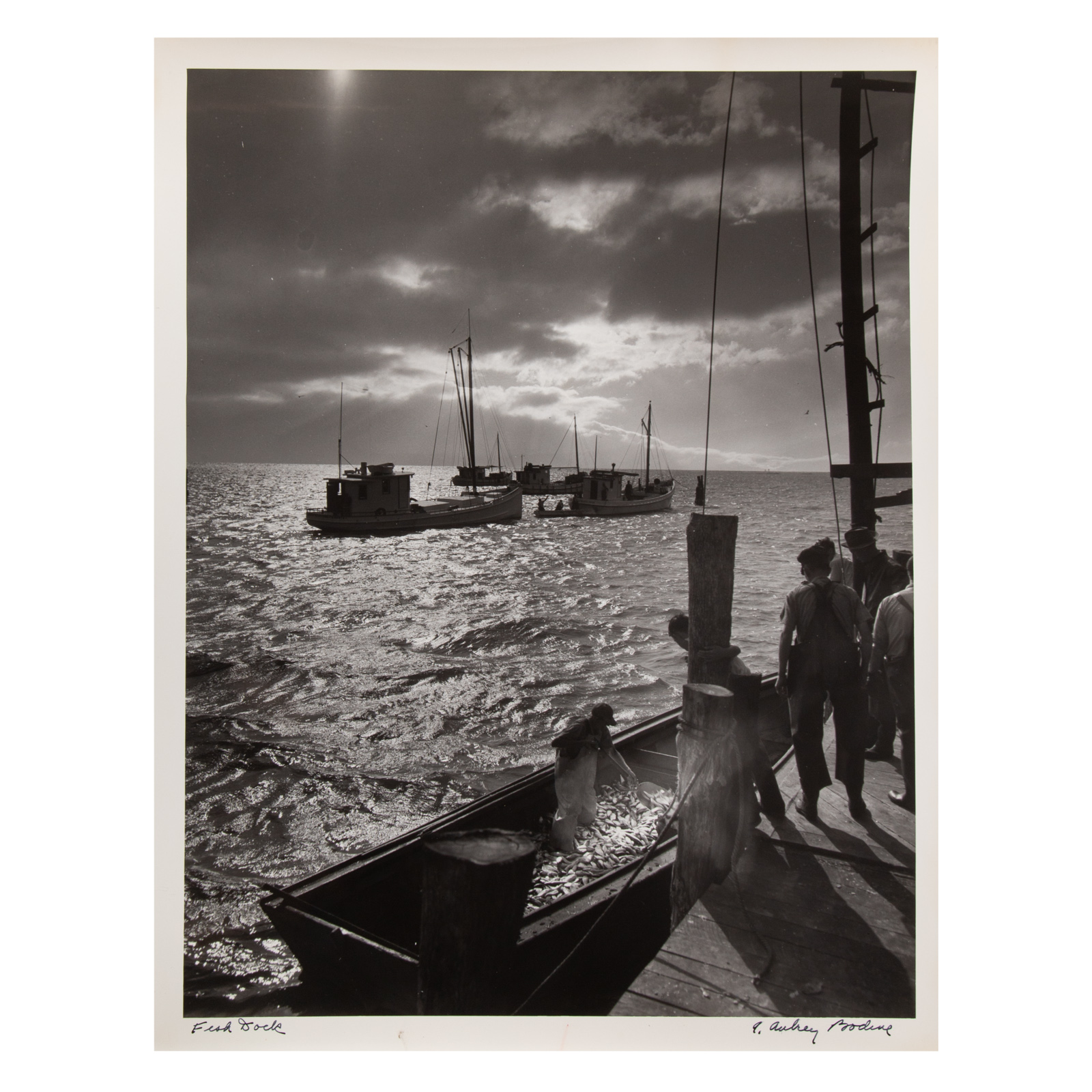 Appraisal: A AUBREY BODINE FISH DOCK GELATIN SILVER PRINT American -