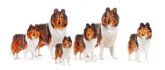 Appraisal: A Group of Six Royal Doulton Porcelain Collies Width of