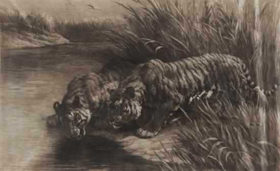 Appraisal: Herbert Thomas Dicksee British - Tigers on a Riverbank etching