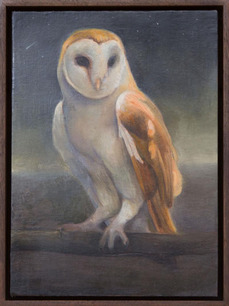 Appraisal: DAVID MOLESKY b BARN OWL Oil on board signed 'David