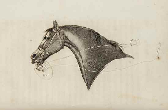 Appraisal: Adams John An Analysis of Horsemanship teaching the whole art