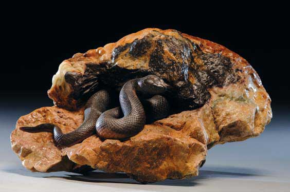 Appraisal: FINELY CARVED SEALSTONE SNAKE Very finely and highly realistically carved