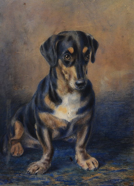 Appraisal: ENGLISH SCHOOL TH CENTURY Portrait of a seated dachshund indistinctly