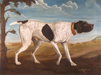 Appraisal: English School th Century An English pointer in a Hampshire