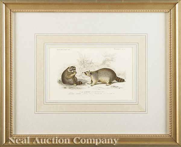 Appraisal: A Group of Four Hand-Colored Engravings of Animals c by