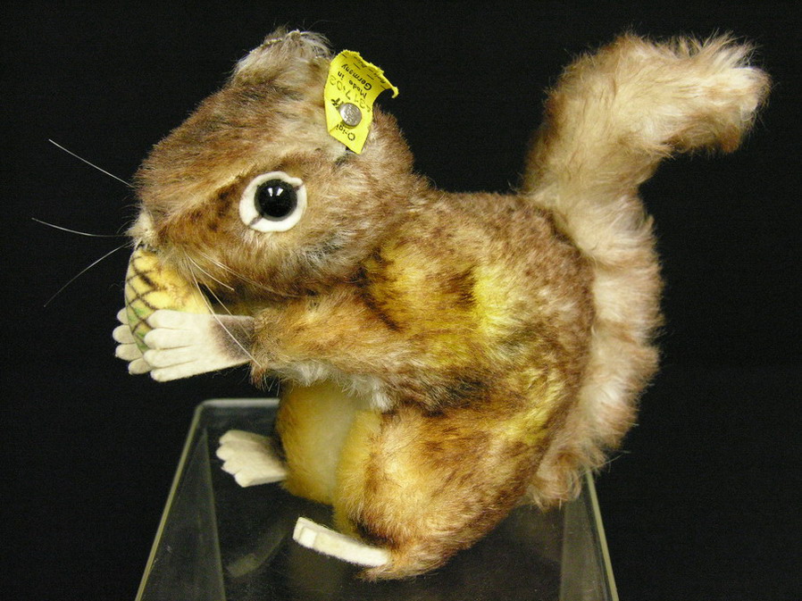 Appraisal: STEIFF SQUIRREL Estate item This squirrel is h by long