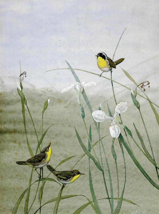 Appraisal: Edward Von Siebold Dingle South Carolina - YELLOWTHROATS ON FLOWER