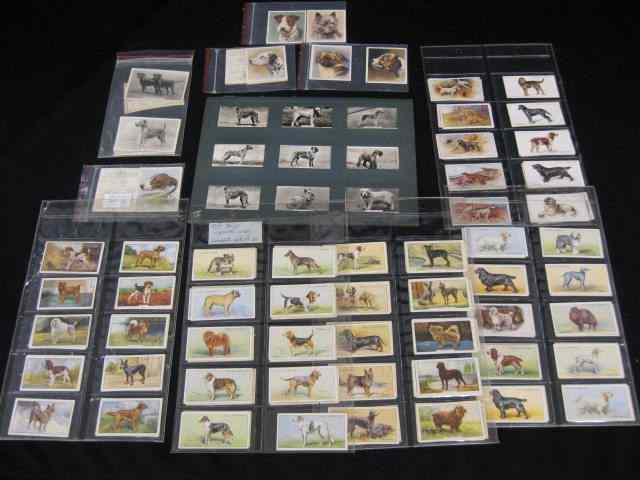 Appraisal: Collection of Various Dog Related CigaretteCards English premiums of yesteryear