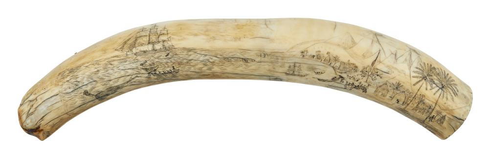 Appraisal: SCRIMSHAW HIPPOPOTAMUS TOOTH TH CENTURY LENGTH INCLUDES CONTEMPORARY LUCITE MOUNT