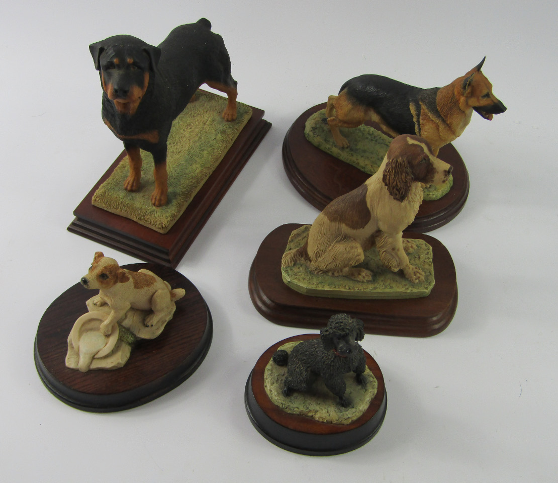 Appraisal: Five Border Fine Arts dog sculptures comprising Rottweiler German Shepherd