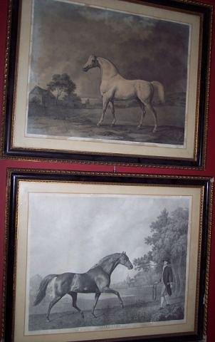 Appraisal: George Townly Stubbs after George Stubbs - VolunteerMambrinoa pairstipple engravings