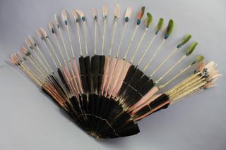 Appraisal: South American Arrow Arrangement with bird feathered tips