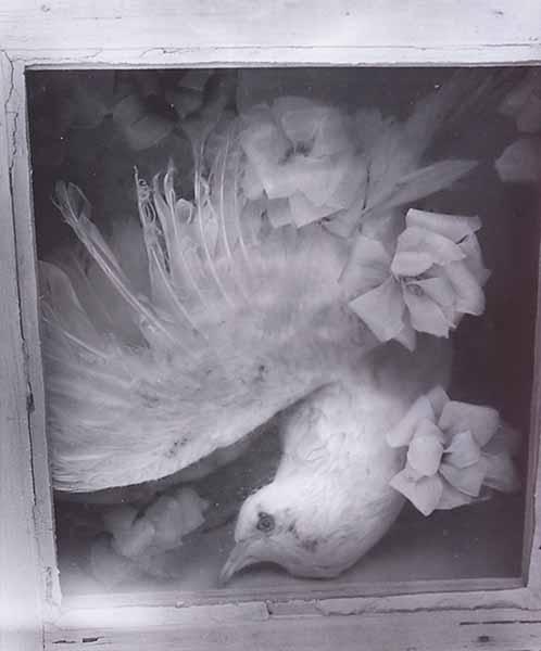 Appraisal: Clarence John Laughlin American Louisiana - Bird of the Death