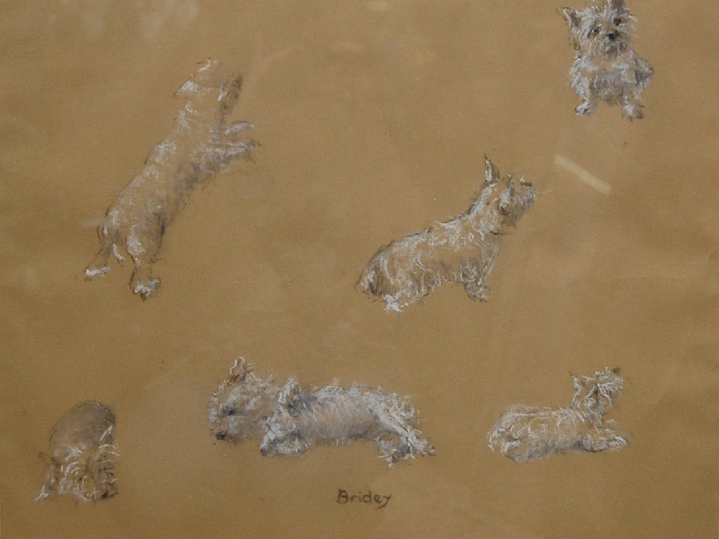 Appraisal: J Stanley-Cory - 'Bridey' tableaux of studies of West Highland