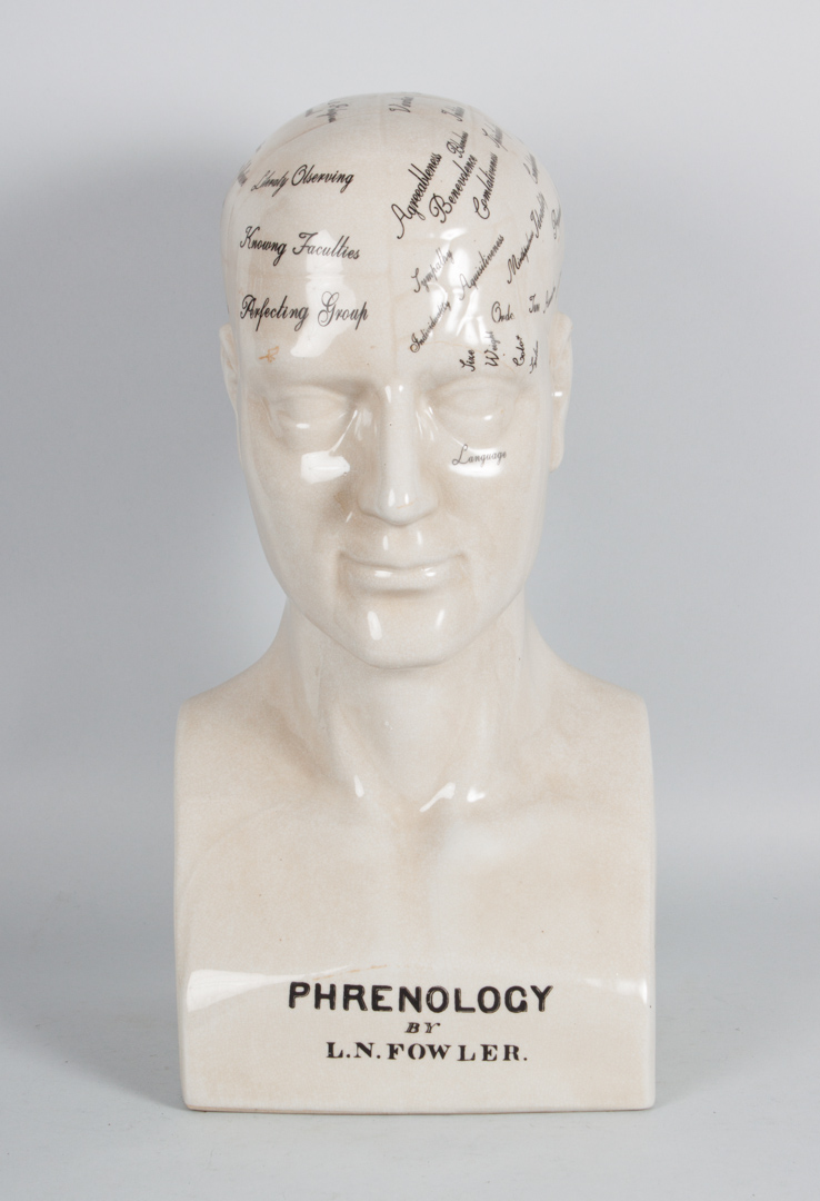 Appraisal: Porcelain Phrenology head in H in W