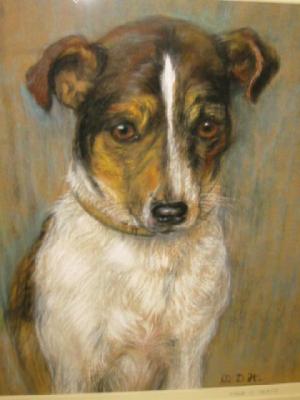 Appraisal: MAUD D HEAPS Portrait of a Terrier pastel signed with