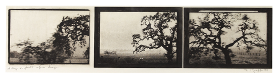 Appraisal: JUDY PFAFF A Day or Part of a Day Photogravure