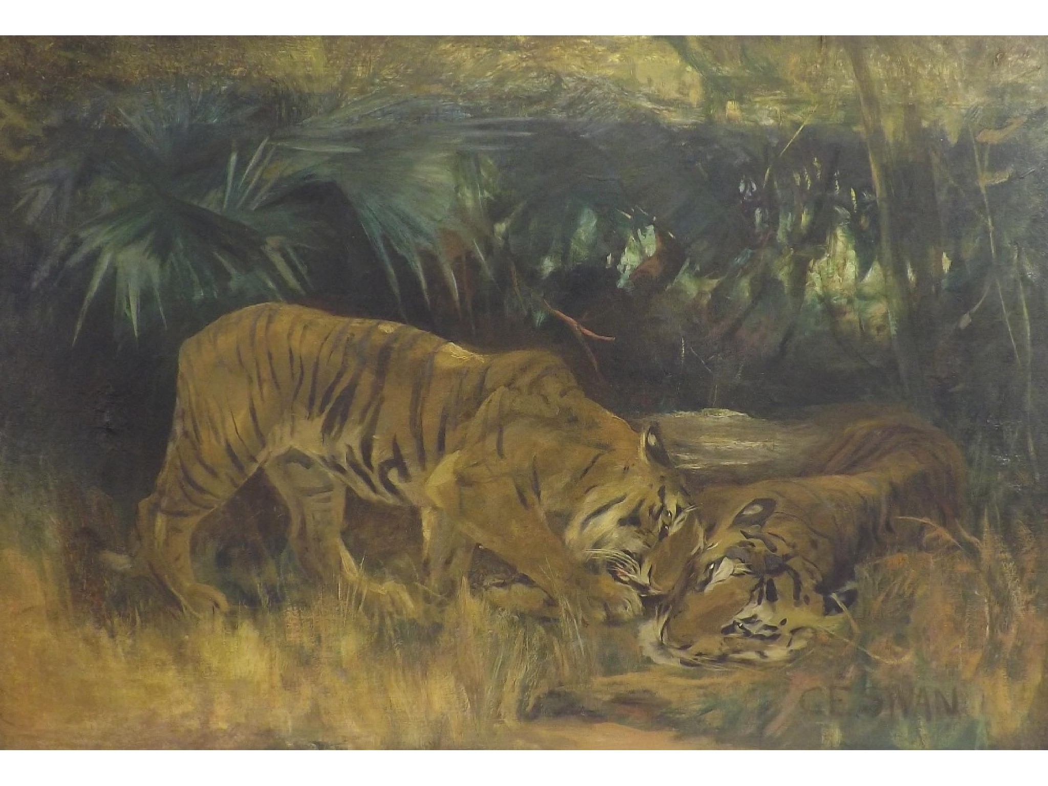 Appraisal: Cuthbert Edmund Swann - - Two Bengal Tigers beside a