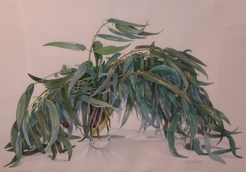 Appraisal: an oversized study of Eucalyptus Artist Bukovnik Gary American born