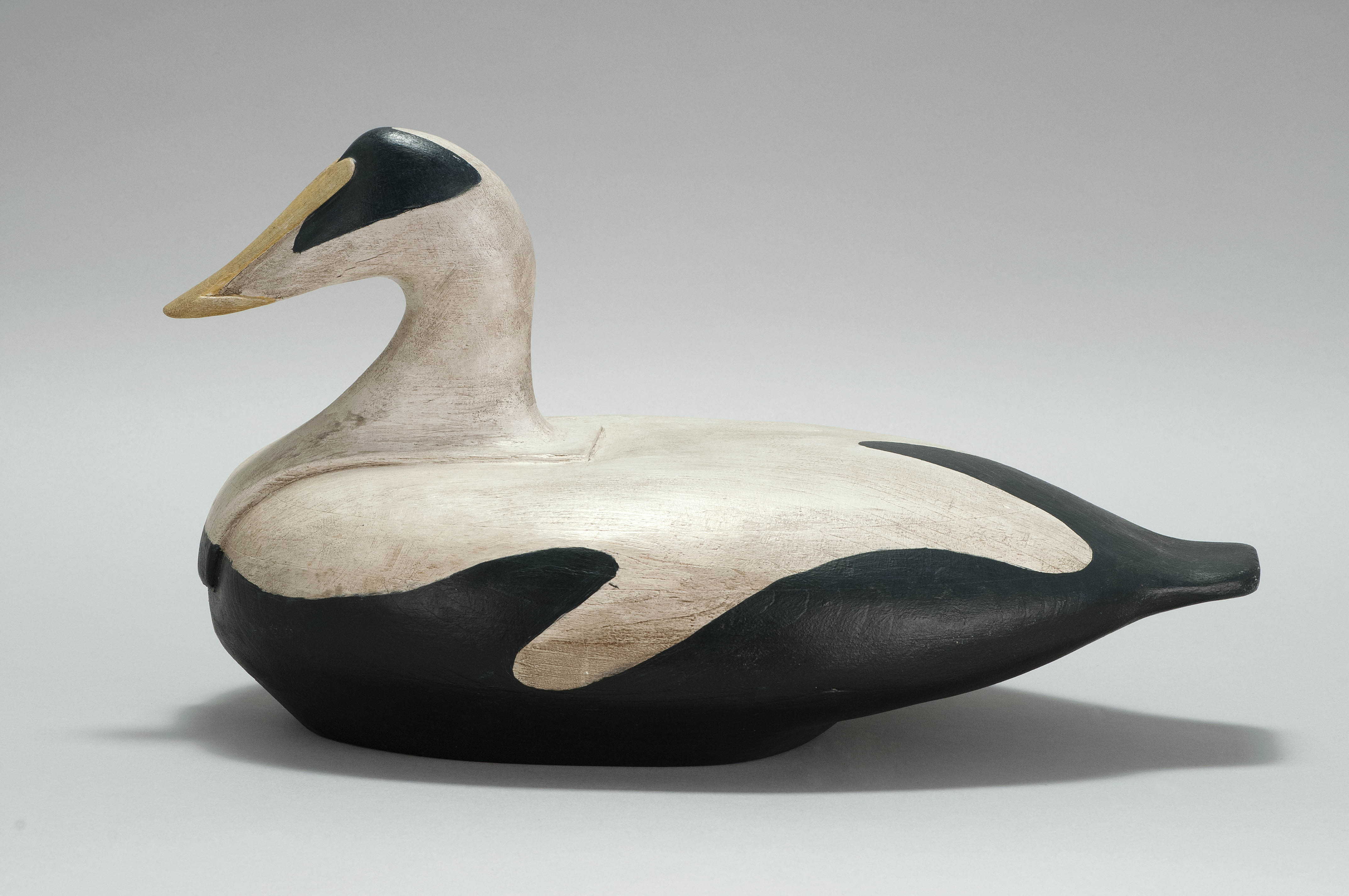 Appraisal: MAINE-STYLE EIDER DECOY By Michael R McCarthy Dated - -