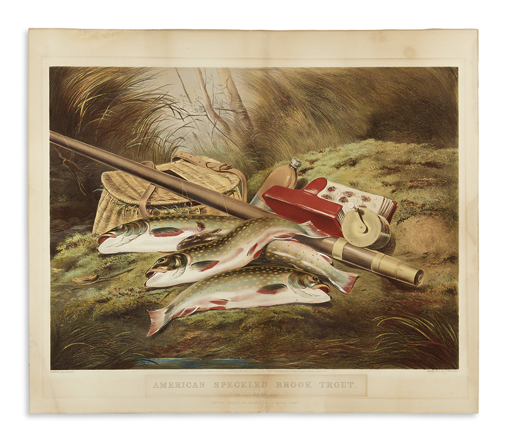 Appraisal: CURRIER IVES American Speckled Brook Trout Large format chromolithograph with