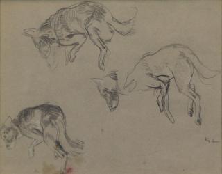 Appraisal: KOCH John Pencil on Paper Study of Dogs Signed lower