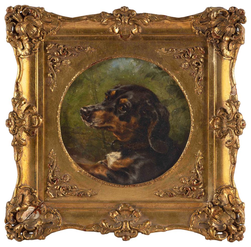 Appraisal: CONTINENTAL SCHOOL TH CENTURY PORTRAIT OF A DOG OIL ON