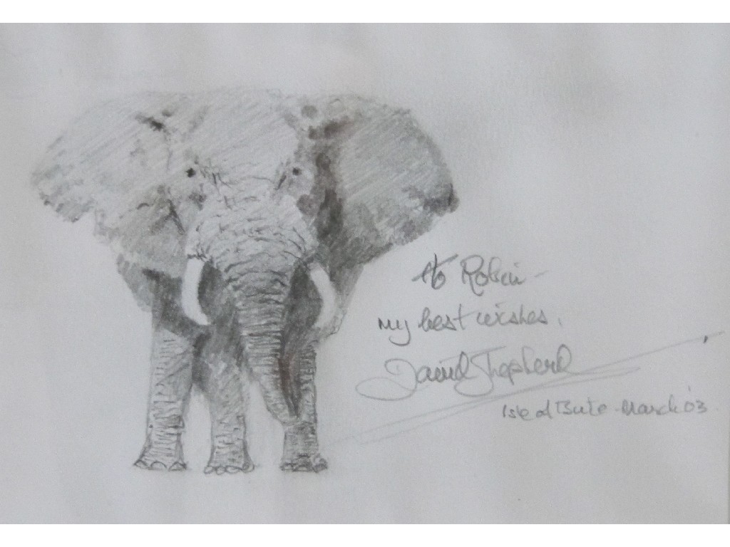 Appraisal: DAVID SHEPHERD b Pencil drawing 'Elephant' signed and dedicated recto