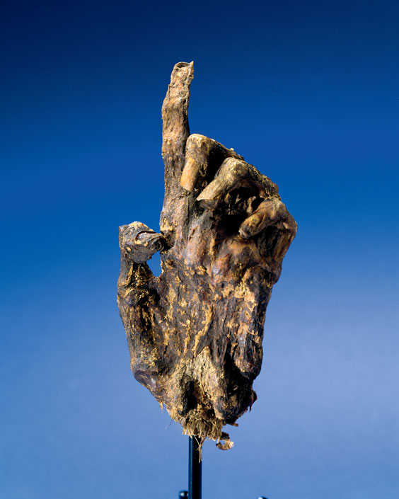 Appraisal: AN AUTHENTIC EGYPTIAN MUMMY 'S HAND This is an actual