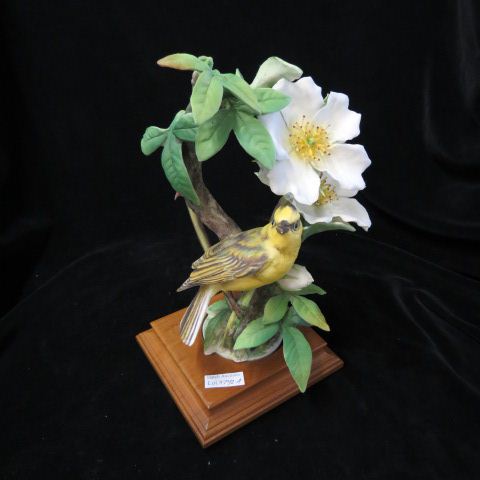 Appraisal: Royal Worcester Dorothy Doughty Figurine Hooded Warbler with Wild Cherokee