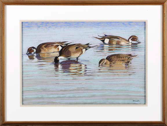 Appraisal: Al Barnes American Texas b Ducks in the Water pastel