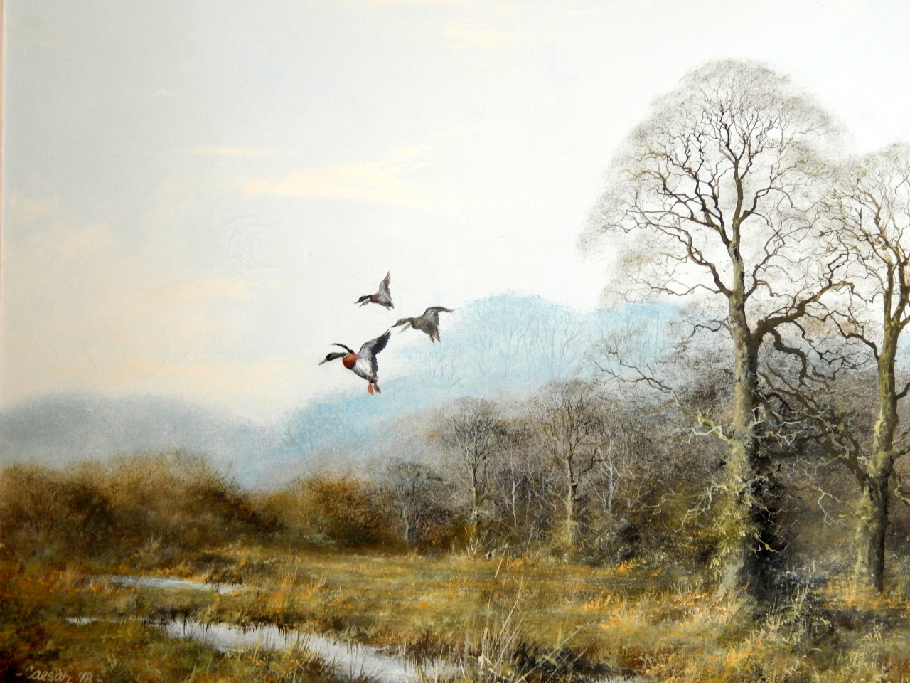 Appraisal: Caesar Smith Woodland landscape with mallards in flight oil on