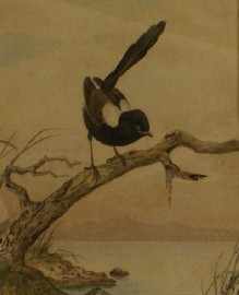 Appraisal: Neville Henry Pennington Cayley - White-Winged Wren Black Form gouache