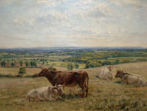 Appraisal: Robert Morley - - Cattle resting on a hillside oil