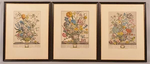 Appraisal: Robert Furber Hand Colored Floral Engravings Seven Robert Furber Hand